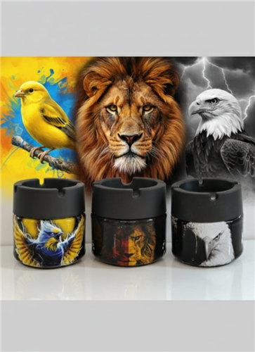 KOKUSUZ CAM TARAFTAR KÜLLÜK   PK:6  KL:60